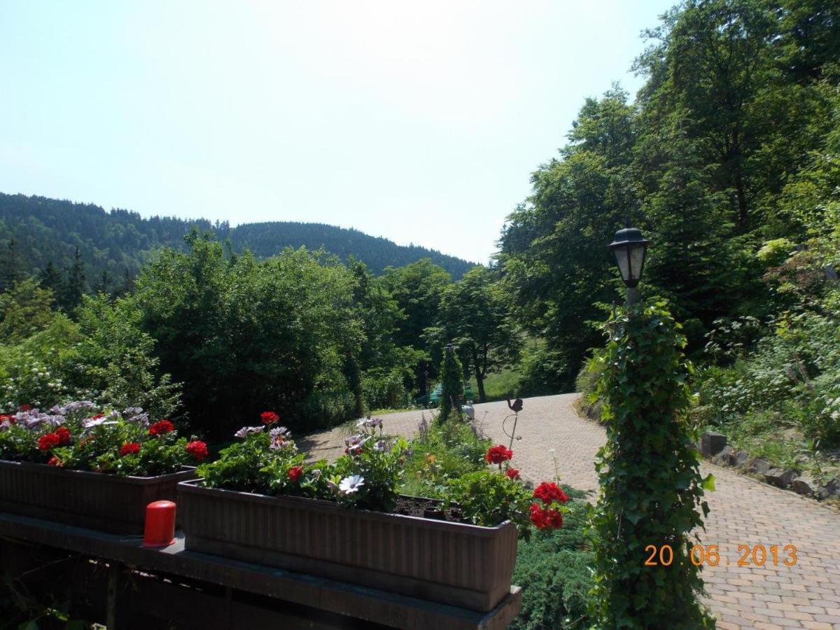 Gaestezimmer Haus Talblick Lautenthal Exteriér fotografie