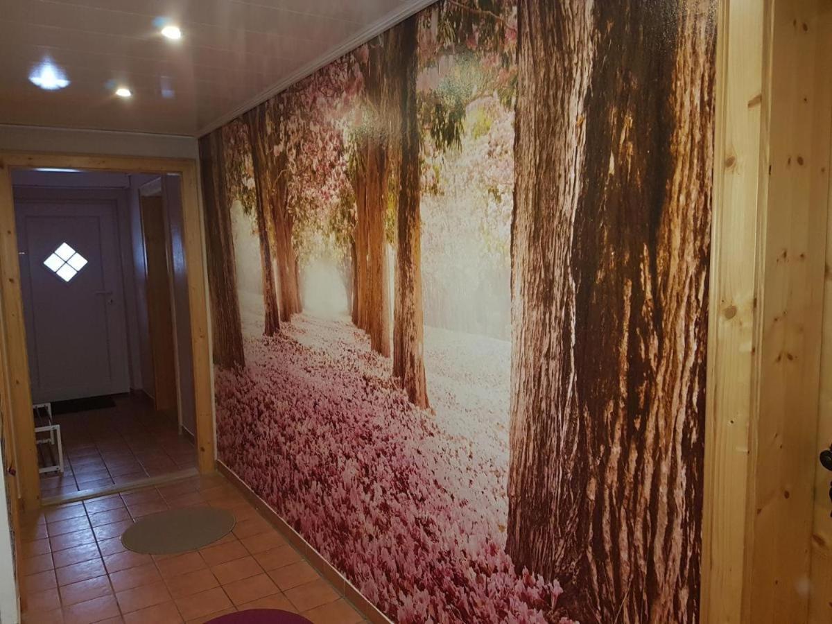 Gaestezimmer Haus Talblick Lautenthal Exteriér fotografie
