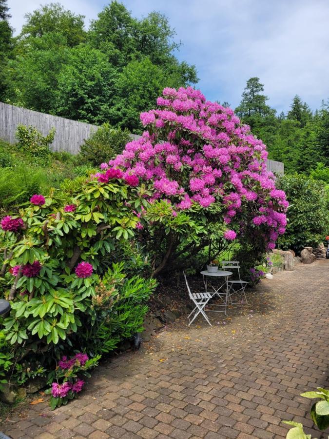Gaestezimmer Haus Talblick Lautenthal Exteriér fotografie